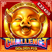 GOLDEN PIG